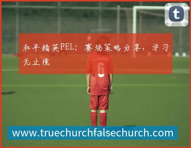 和平精英PEL:赛场策略分享,学习无止境